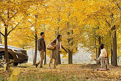 《真三国无双：起源》甄姬凌统典韦介绍 甄姬貌美如花